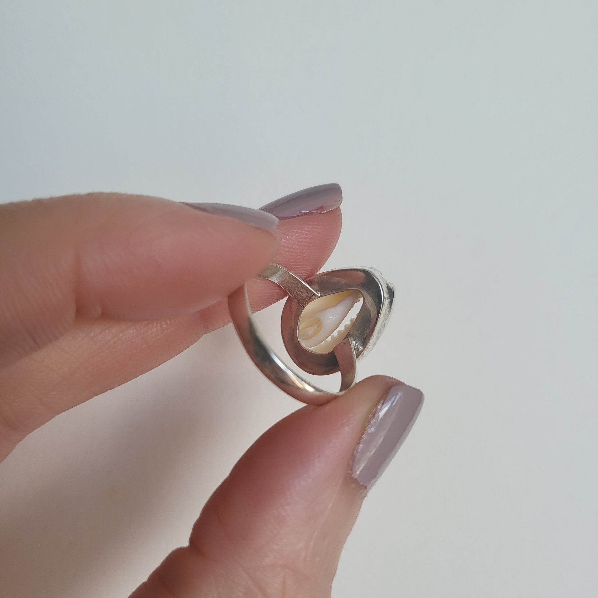 The back off a cowrie shell and silver ring held between fingers against a plain background